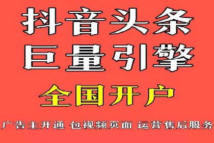 百度竞价广告投放全解析：成功案例揭秘